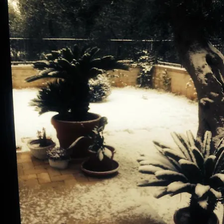 Les Fleurs Oda ve Kahvaltı Bari