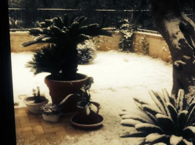 Les Fleurs Oda ve Kahvaltı Bari